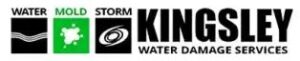 Kingsley logo